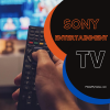 SONY ENTERTAINMENT(300 x 300 px)