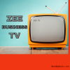 ZEE BUSINESS TV(300 x 300 px) (1)