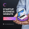 Startup Business Website