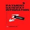 PAYMENT gate way INTIGRATION (300 x 300 px)